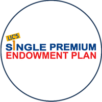 New Single Endowment Assurance (Plan No.: 917)