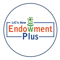 New Endowment Plus (Plan No.: 935)